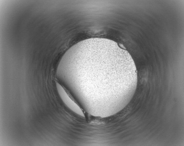 X0000063490515200602172055