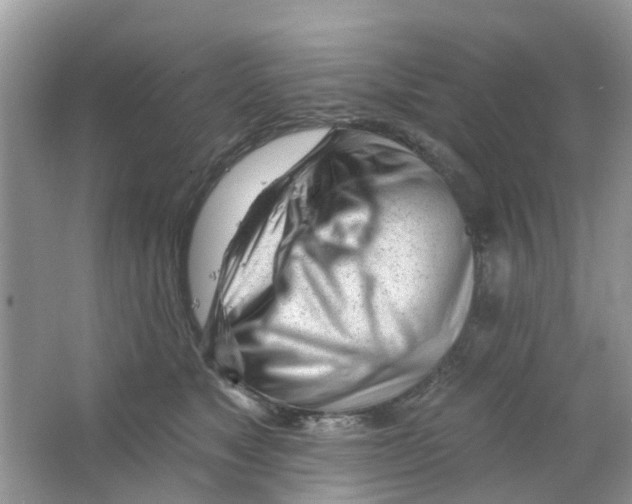 X0000063490517200602172055