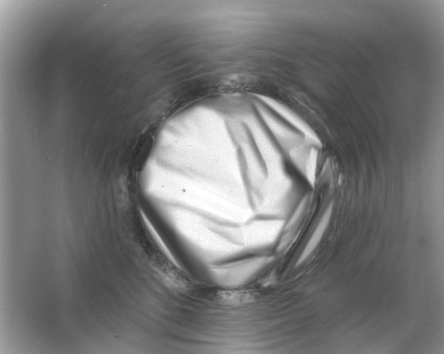 X0000063490520200602172055