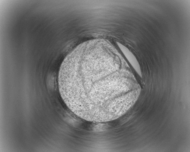 X0000063490527200602172054