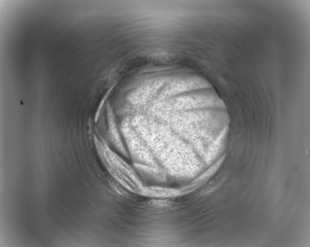 X0000063490528200602172054