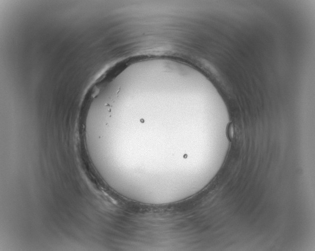 X0000063490532200602172054