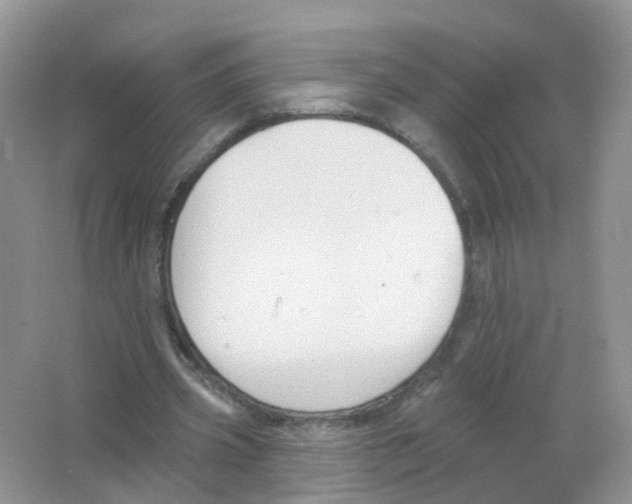 X0000063490533200602172054