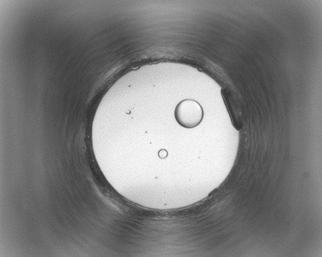 X0000063490538200602172054