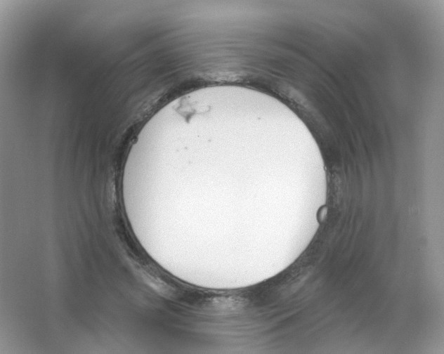 X0000063490541200602172054