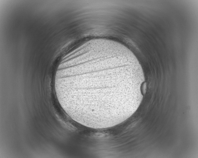 X0000063490542200602172054