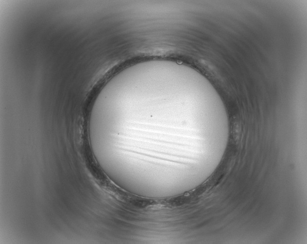 X0000063490544200602172054