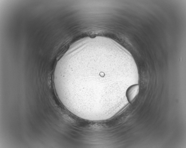 X0000063490545200602172054