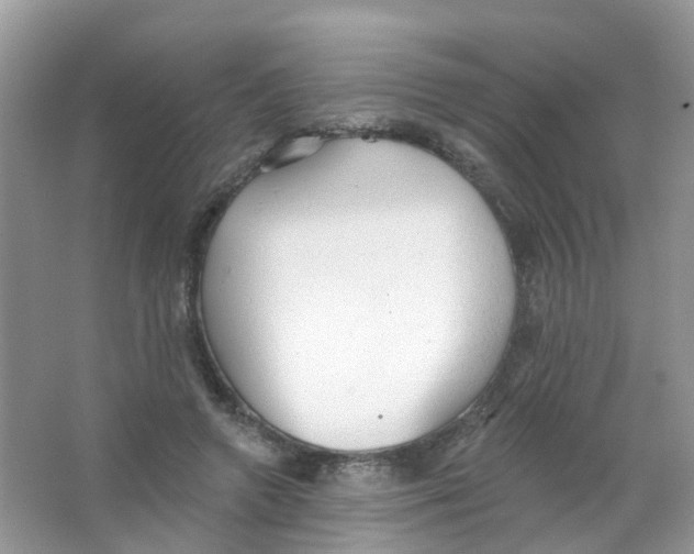 X0000063490546200602172054