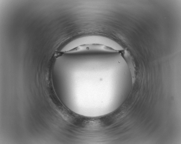 X0000063490548200602172054