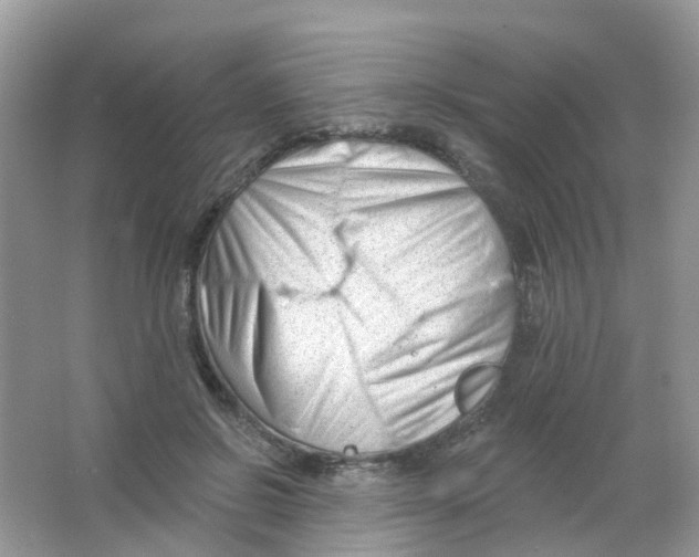 X0000063490550200602172054