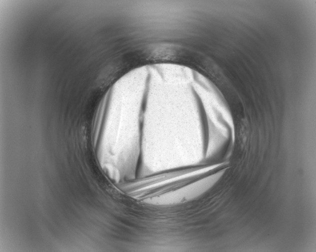 X0000063490551200602172054