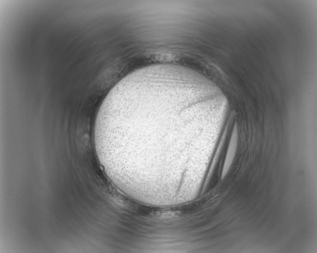 X0000063490553200602172054