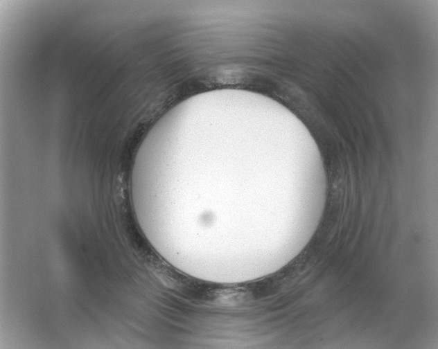 X0000063490555200602172054