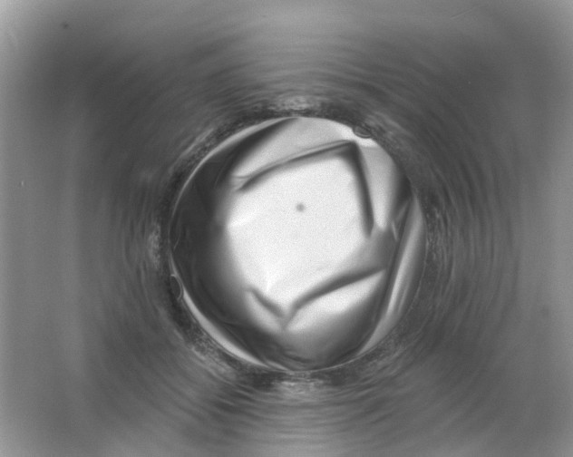 X0000063490556200602172054