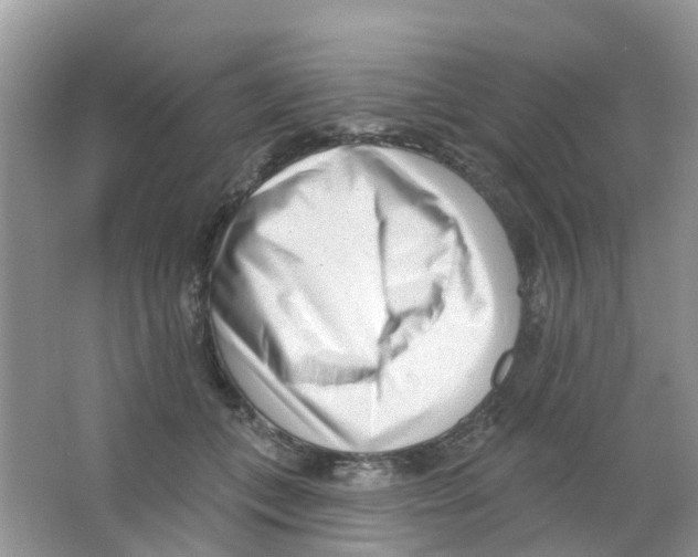 X0000063490559200602172054