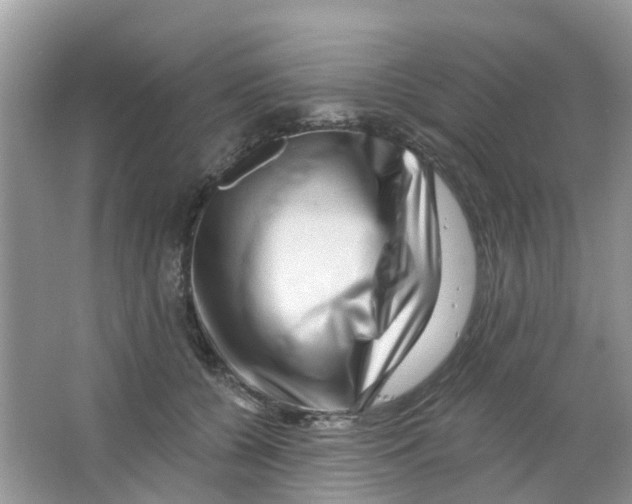 X0000063490560200602172054