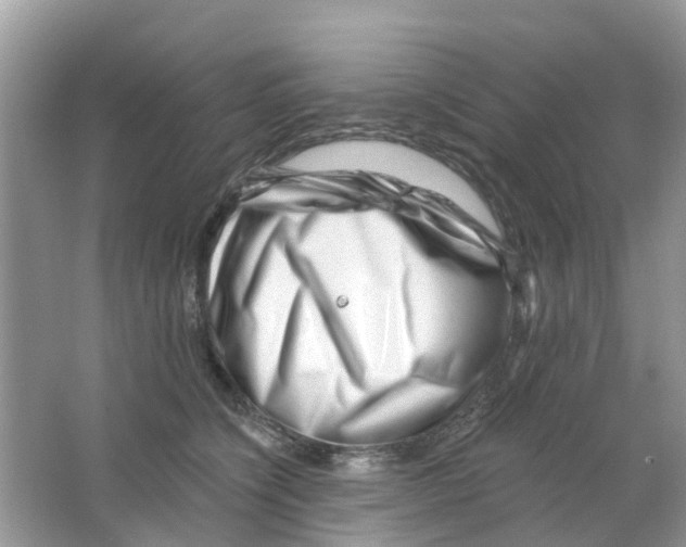 X0000063490564200602172054