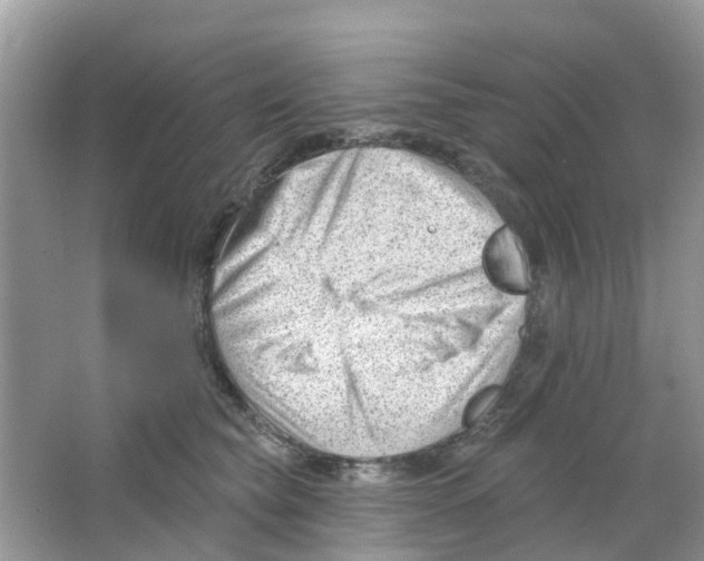 X0000063490565200602172054