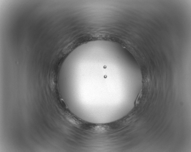 X0000063490566200602172054