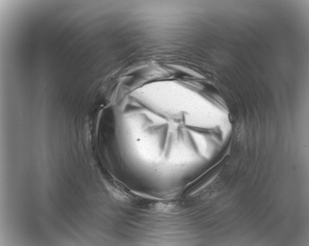 X0000063490570200602172054