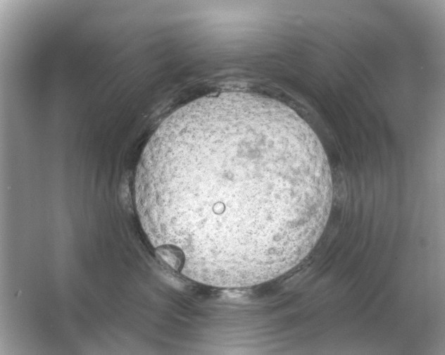 X0000063490573200602172054