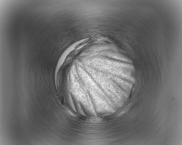 X0000063490576200602172054