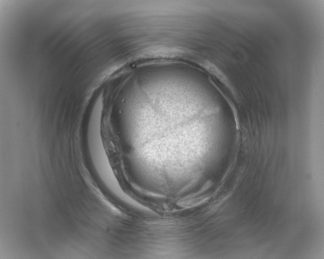 X0000063490581200602172054