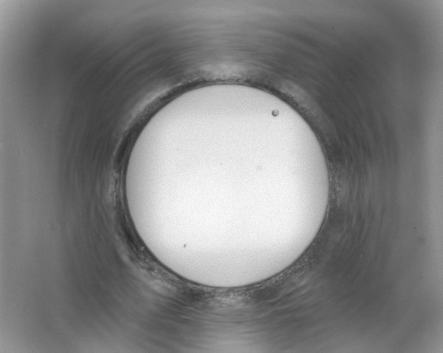 X0000063490583200602172053