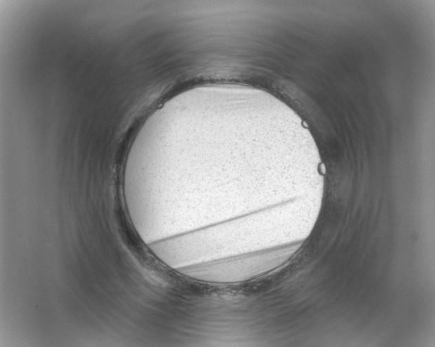 X0000063490586200602172053