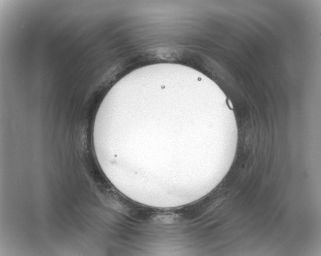 X0000063490595200602172053