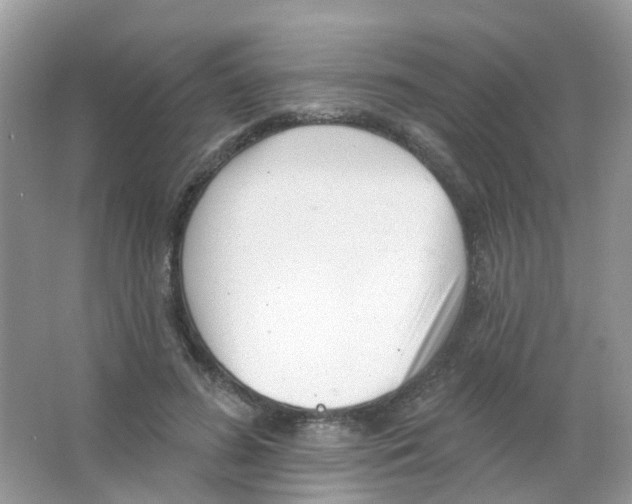 X0000063490596200602172053