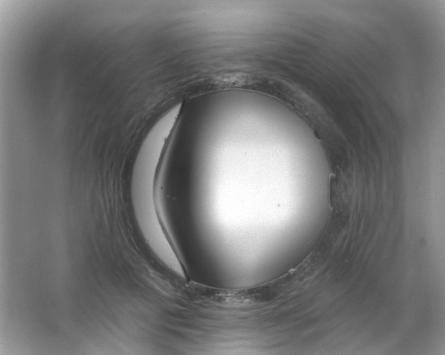 X0000063490601200602172053