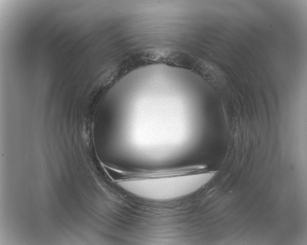 X0000063490607200602172053