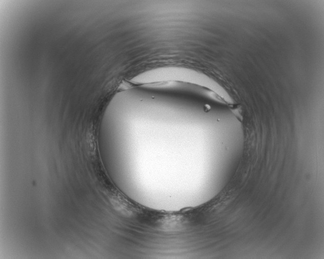 X0000063490609200602172053