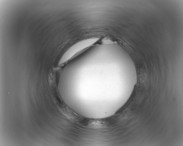 X0000063490611200602172053