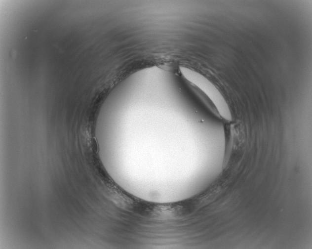 X0000063490613200602172053