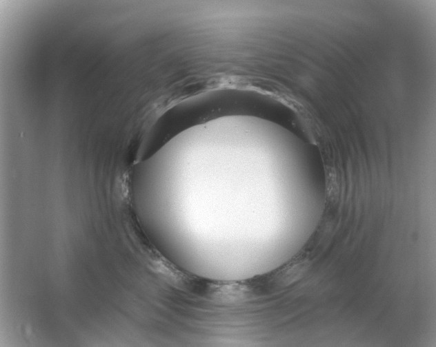 X0000063490621200602172053