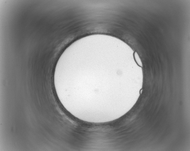 X0000063490625200602172052