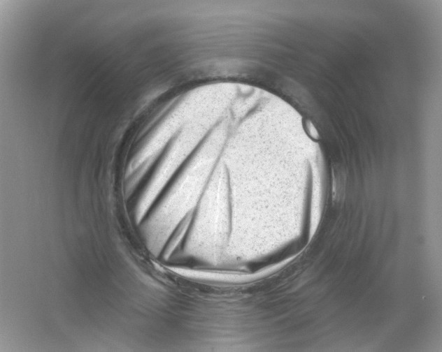 X0000063490627200602172052