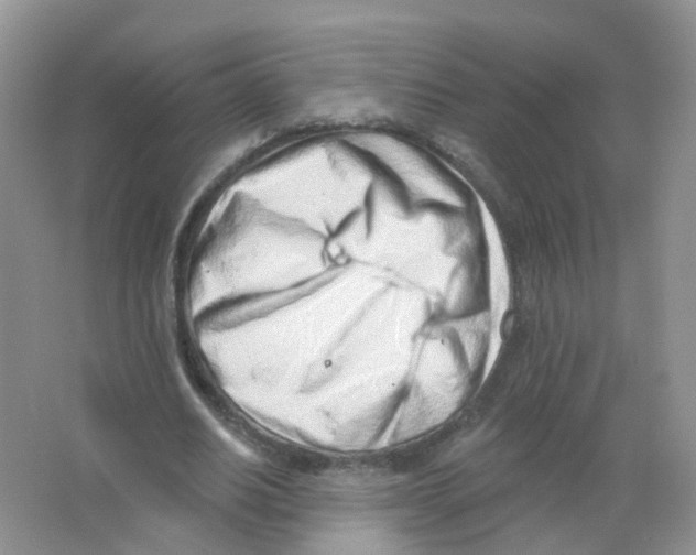 X0000063490630200602172052