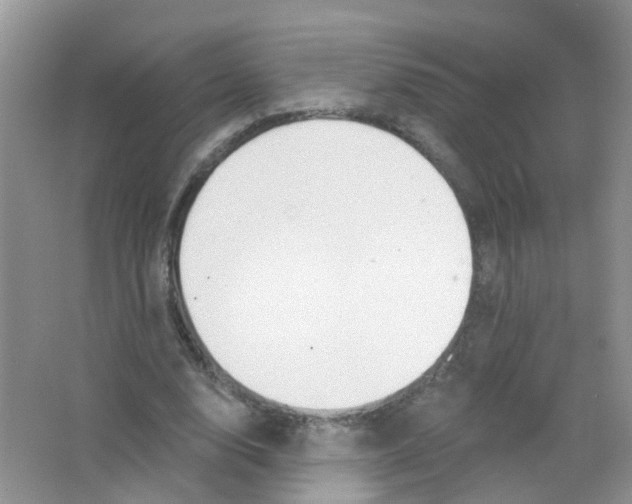 X0000063490632200602172052