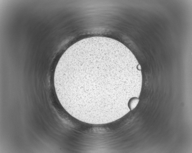 X0000063490636200602172052