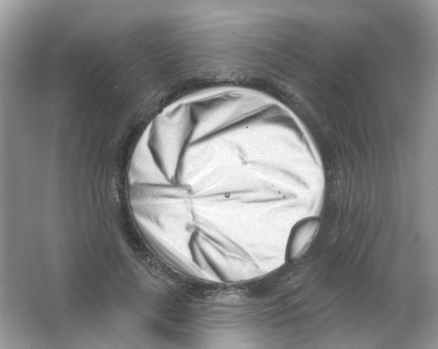 X0000063490643200602172052