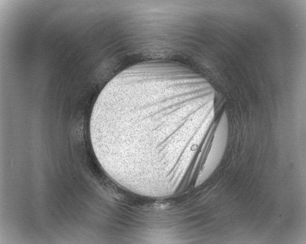 X0000063490647200602172052