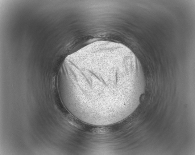 X0000063490652200602172052