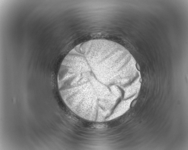 X0000063490659200602172052