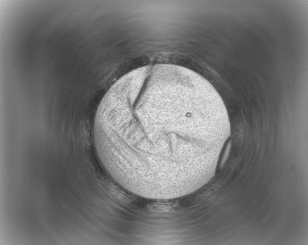 X0000063490661200602172053