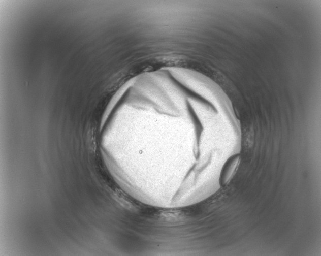 X0000063490666200602172053