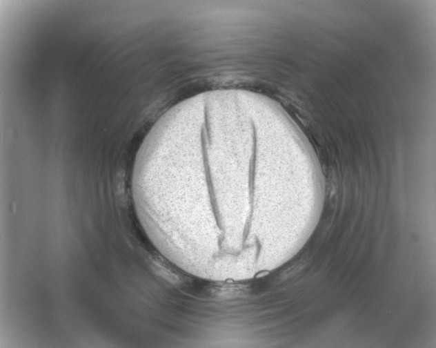 X0000063490670200602172053